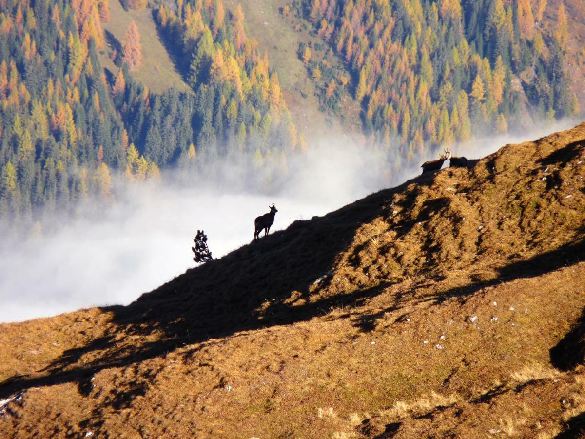 Apart Alpenflair Nauders Exteriér fotografie